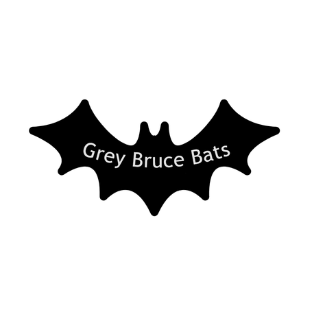 Bat Removal/Bat Proofing